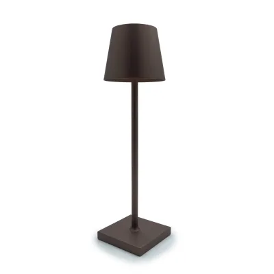 Lampada LED bronzo
